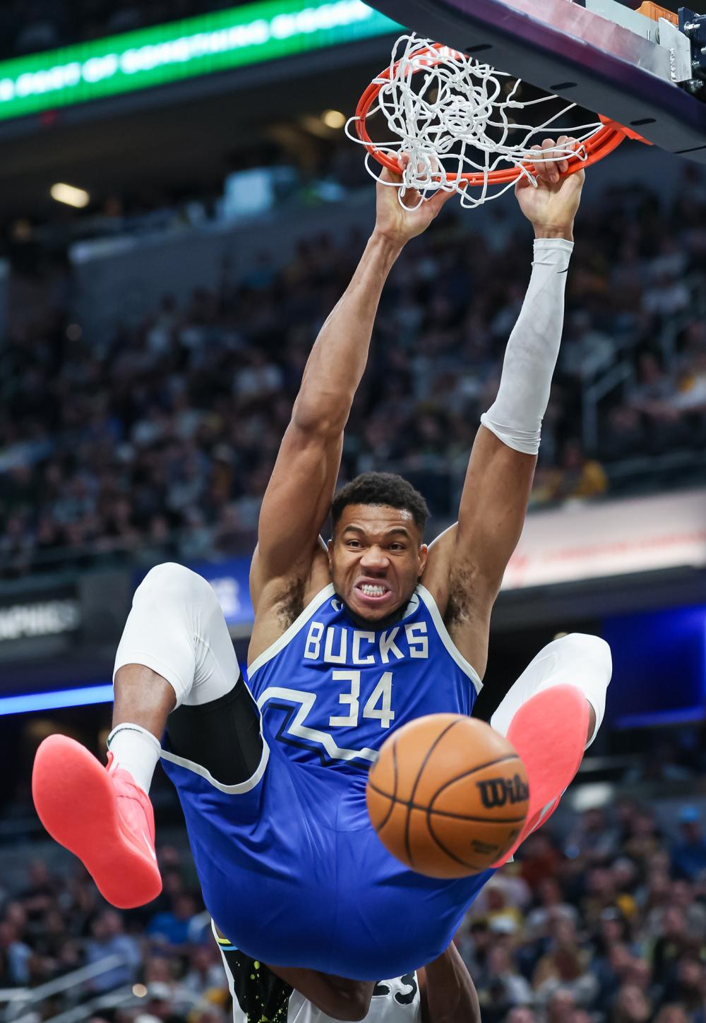 期迎来了一 期迎来了一