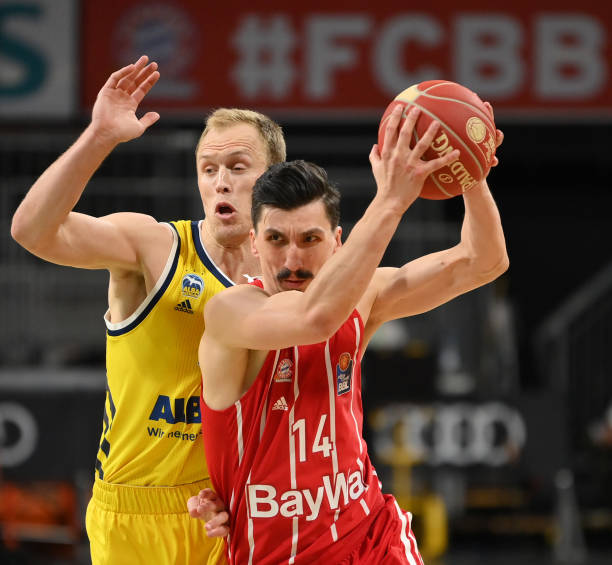 他们引入了 他们引入了