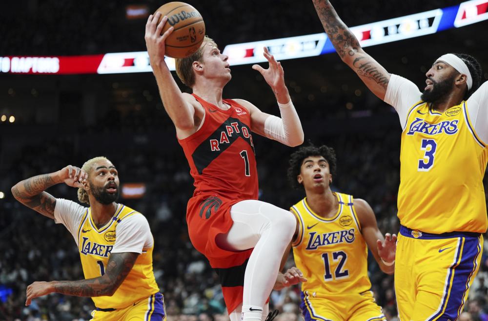 这一称号的 这一称号的