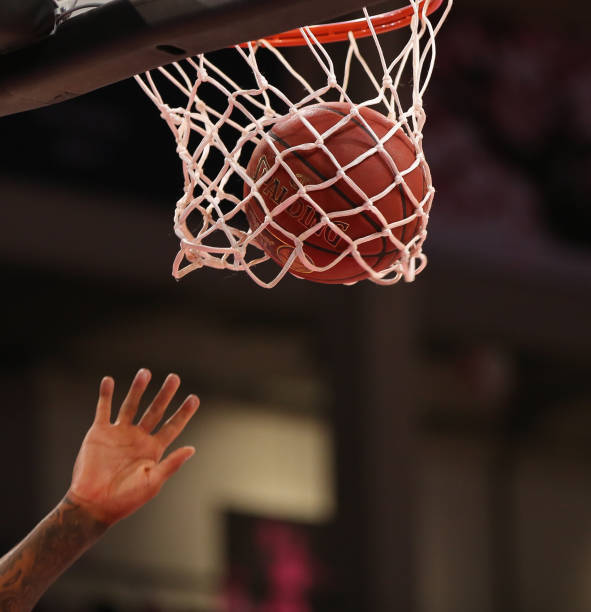 他们的表现 他们的表现